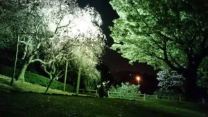 出会い…そして別れの季節となってまいりました