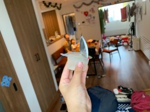 なんじゃーこりゃ！自宅公開